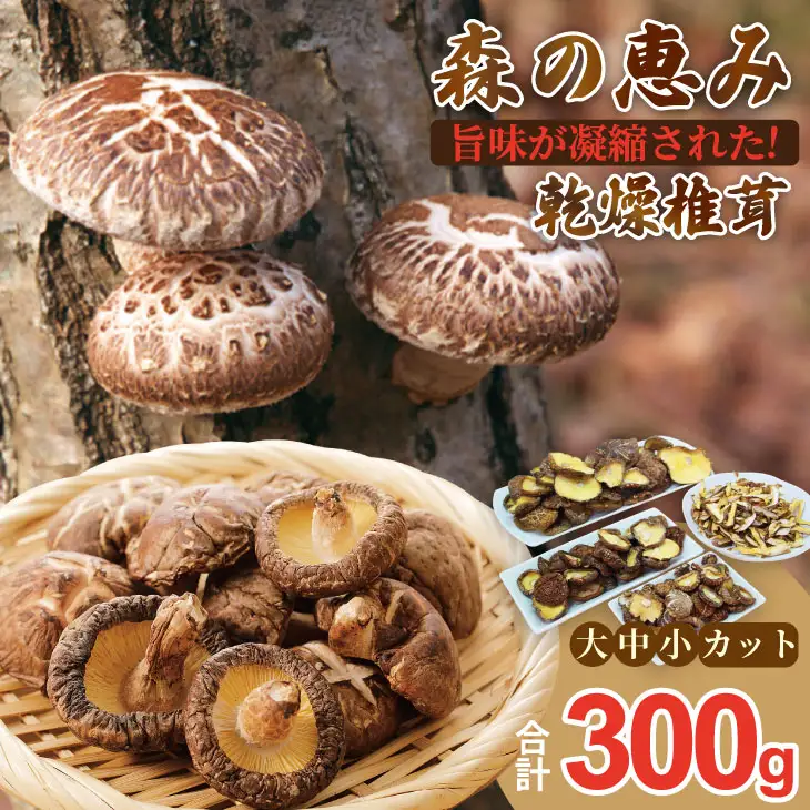 俺の作った原木乾燥しいたけ（サイズ大・中・小・カット）300g 椎茸 B110-038