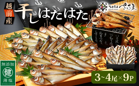 越前産 干しはたはた（3～4尾）× 9パック 完全無添加！越前塩のみで仕上げた一塩干し！【無添加 干物 海鮮 冷凍 個包装】 [e04-a107]