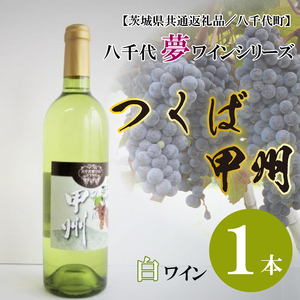 EC-12【茨城県共通返礼品／八千代町】八千代夢ワインシリーズ　つくば甲州（白ワイン）１本