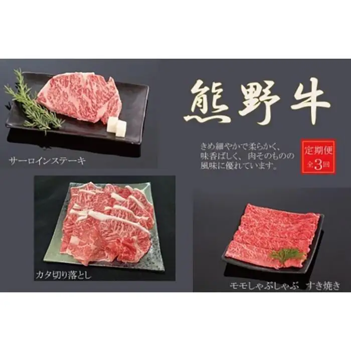 【定期便全3回】熊野牛 極上定期便セットB（1カ月に1回お届け）（全3ヵ月）［MG48］