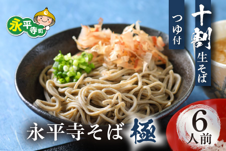 相席食堂で放送10.22【越前そば】永平寺そば極 手打ち十割生そば（つゆ付き）6人前 [B-026034]