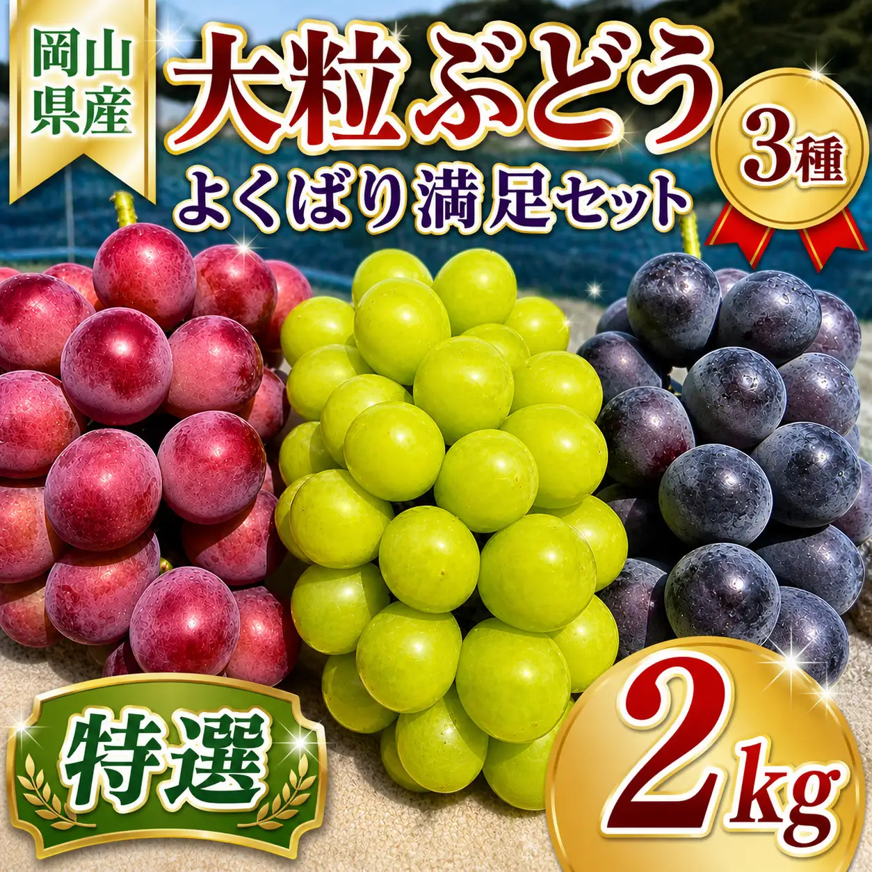 【2026年先行予約】大粒ぶどう３種詰め合わせ 食べ比べ シャインマスカット入り【nisfarm010-02】