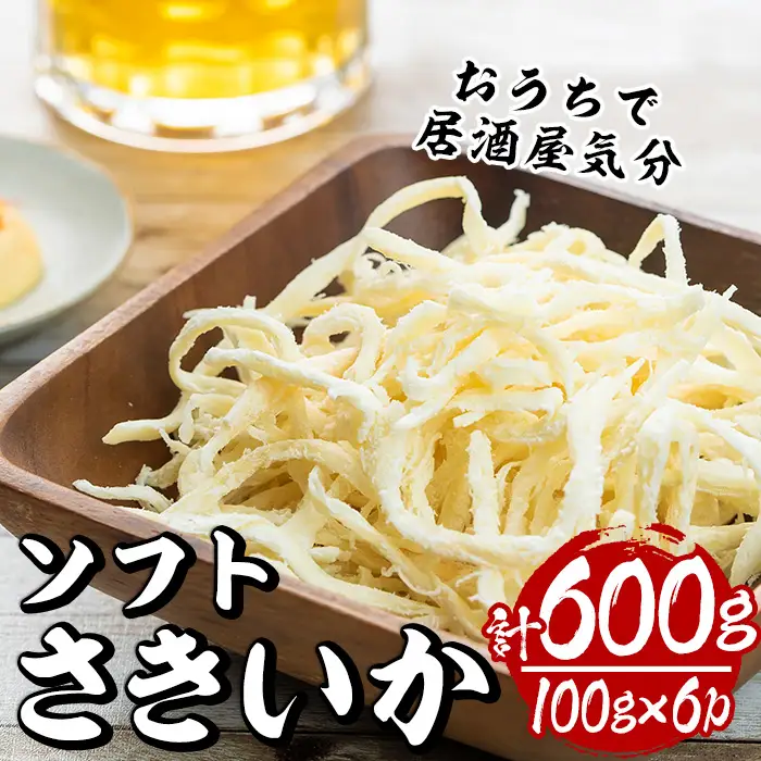 ソフトさきいか(計約600g・100g×6P)干物  海産物 常温 【E-26】【水永水産】