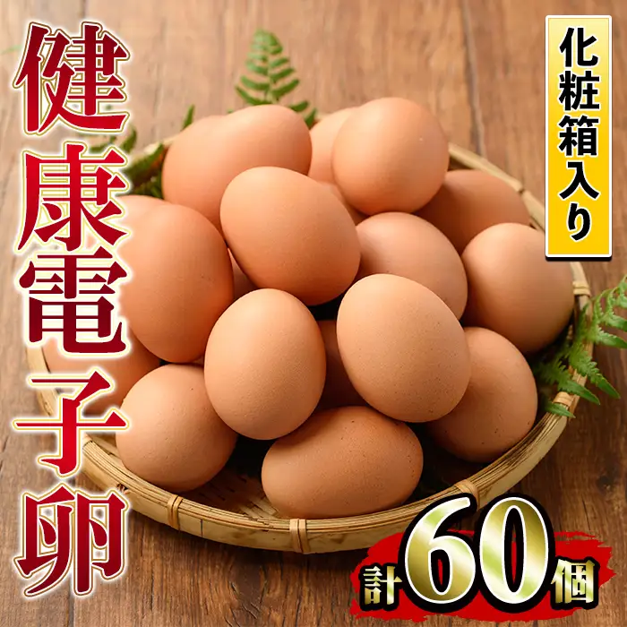 たまご　6パック 60個入り　健康電子たまご　(内10個 宅配破損時 保証卵付) 【00-095-03】