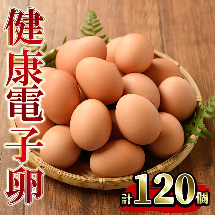 たまご　12パック 120個入り　健康電子たまご　(内10個 宅配破損時 保証卵付) 【00-095-04】