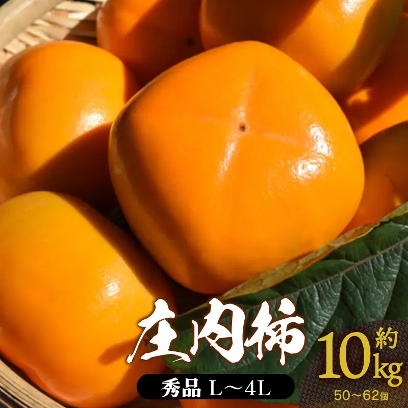 【令和8年産先行予約】 庄内柿 秀品 (L～4Lサイズ)  約10kg (5kg×2箱) (50～62個)　山形県鶴岡市産　株式会社 元青果