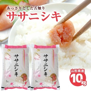 SC0692　令和7年産【精米】ササニシキ　10kg(5kg×2袋)