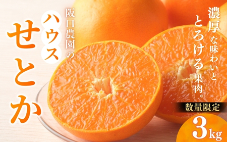 【先行予約】【数量限定】阪口農園のハウスせとか 3kg (2L～3L 9玉～12玉) 【2027年2月中旬~3月中旬までに順次発送】 せとか ハウスせとか みかん ミカン 蜜柑 柑橘 フルーツ 果物 くだもの 旬 産地直送 農家直送【msa001B】