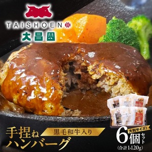 大昌園「手捏ねハンバーグ6個セット」_黒毛和牛入り 手捏ね ハンバーグ 大判 200g × 6個 セット 湯煎 小分け 包装 冷凍 3種のソース 煮込み 和風 きのこクリーム  温めるだけ 肉のプロ 焼肉の大昌園 簡単調理 福岡県 久留米市 お取り寄せグルメ おかず 惣菜 肉加工品 送料無料 ソース付 〔Ax023〕
