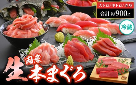 まぐろの王様！生本マグロ！まぐろ三昧セット合計900g前後（赤身・中トロ・大トロ各約300g） [e04-e005]