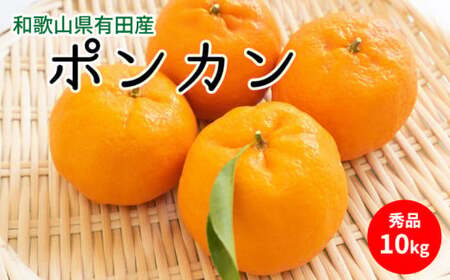 U6227n_【2027年先行予約】ポンカン 秀品 約10kg 和歌山県有田産