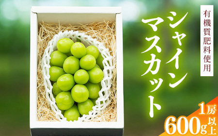 令和8年産 先行予約 ＜厳選＞シャインマスカット 600g 以上（1房）山形県産【2026年9月上旬頃～10月上旬頃発送予定】※配送不可 沖縄・離島　010-B-AF009