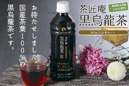 【定期便3か月】静岡県産 黒烏龍茶 500ml × 24本 いなば園 黒烏龍茶