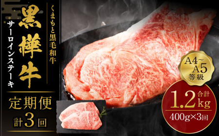 【3回定期便】くまもと黒毛和牛 杉本本店 黒樺牛 A4~A5等級 サーロインステーキ定期便 400g×3回