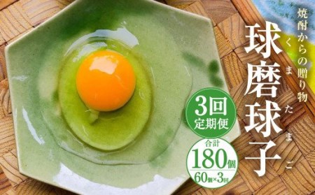 【定期便年3回】 球磨球子 60個入 卵 たまご 鶏卵 卵 玉子 たまご くまたまご（破損保証有り）