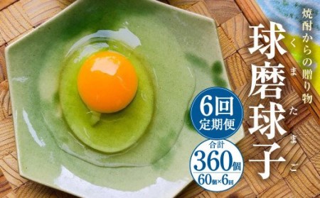 【定期便年6回】 球磨球子 60個入 鶏卵 卵 玉子 たまご くまたまご（破損保証有り）