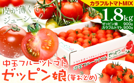 中玉フルーツトマト ゼッピン娘 900g カラフルトマト 900g 計1.8kg 《10月中旬～5月末頃出荷》茨城県結城市希少な品種 華おとめトマト野菜 甘い野菜サラダ