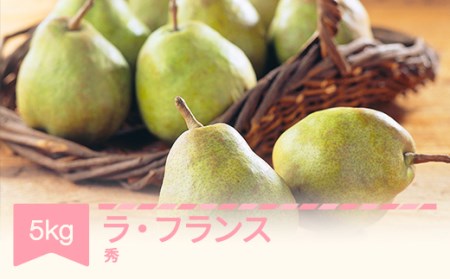 先行予約 ラ・フランス 約5kg 秀品 令和8年産 mm-lasxx5