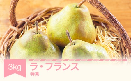 先行予約 ラ・フランス 約3kg 特秀品 令和8年産 mm-latsx3