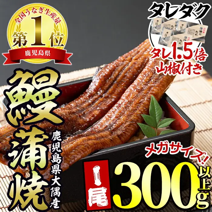 うなぎ 国産 蒲焼 無頭 1尾 (300g) 特大 アクアおおすみ 0104312a
