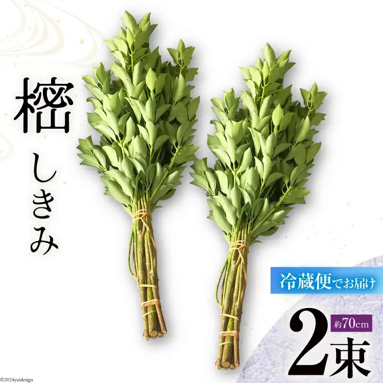 しきみ しきび 2束 セット 70cm [中村しきみ園 宮崎県 美郷町 31ay0004]
