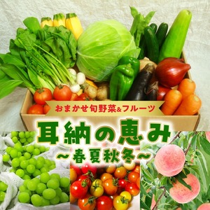 おまかせ旬野菜＆フルーツ 耳納の恵み 春夏秋冬_旬 野菜 フルーツ おまかせ セット 2ケース お取り寄せ グルメ 野菜セット 新鮮 農家直送 季節 季節野菜 旬野菜 旬フルーツ 果物 春野菜 夏野菜 秋野菜 冬野菜 野菜 フルーツ 詰め合わせ 野菜ジュース 野菜スープ ギフト 福岡県 久留米市 送料無料 〔Gv011〕