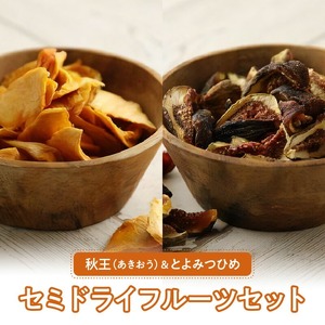 秋王・とよみつひめセミドライフルーツセット_秋王 とよみつひめ セミドライフルーツ セット 30g × 4袋 いちじく 甘い 糖度20度以上 柔らかい 凝縮 無添加 ヨーグルト フルーツティー 紅茶 ブランドフルーツ 国産 お取り寄せ 福岡県 久留米市 送料無料 〔Ca003〕
