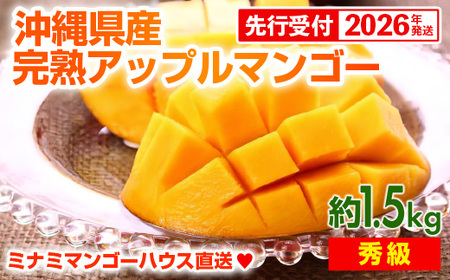 【先行受付】【2026年発送】ミナミマンゴーハウスの完熟アップルマンゴー【秀】約1.5kg（3~5玉）- 先行予約 沖縄県産 産地直送 南国フルーツ 旬の味覚 旬のフルーツ 贈り物 ギフト 沖縄県 八重瀬町