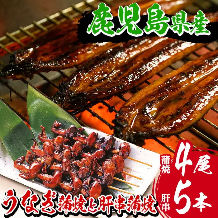 鹿児島県産 うなぎ蒲焼 4尾 肝串5本付 うなぎ【00-025-12】