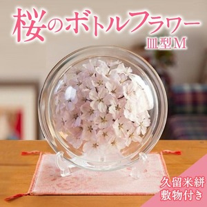 桜のボトルフラワーM（久留米絣敷物付き）_桜 ボトルフラワー M 久留米絣 敷き物付き 皿型 インテリア かわいい おしゃれ 桜の花 ソメイヨシノ ドライ加工 まるで生花 お手入れ簡単 ギフト 入学祝 卒業祝 合格祝 就職祝 お祝い 記念 贈り物 雑貨 お取り寄せ 福岡県 久留米市 送料無料 〔Qb001〕