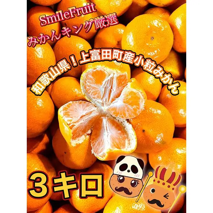 ［先行予約］小粒みかん3kg　高糖度！みかんの里！［SmileFruitみかんキング厳選］2026年10月下旬以降順次発送