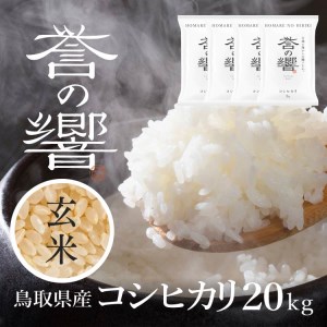 【要確認：配送時期指定NG】【令和7年産】（玄米 20kg）優栽：特別栽培米 鳥取県日野町産 コシヒカリ お米 米