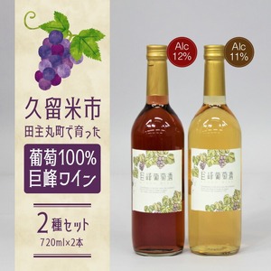 【バリはやッ！ZIPにて紹介されました】久留米市田主丸町で育った葡萄100％ 巨峰ワイン2種セット（720ml×2本）_巨峰ワイン2本セット 2種 1本 720ml 赤ワイン ルージュ 12% フルーティ 辛口 渋み 酸味 白ワイン スウィート 11% お酒 アルコール 甘味 旨味 果実酒 葡萄酒 渋み 酸味 ぶどう 巨峰ワイナリー お取り寄せ 福岡県 久留米市 田主丸町 送料無料 〔Ew003〕