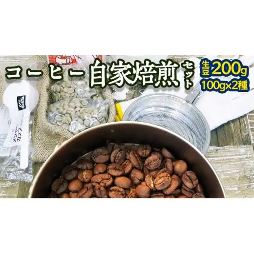 コーヒー 自家焙煎 セット コーヒー豆 200ｇ 2種 × 100ｇ