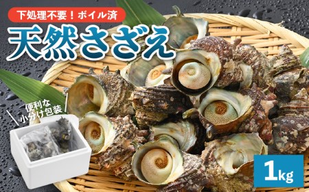 【先行予約】 天然 さざえ ボイル済 13～15個入 1kg（500g × 2袋）産地直送でお届け！ 【2026年6月中旬より順次発送】【越前町産 栄螺 サザエ 冷凍 小分け 海鮮 BBQ バーベキュー】 [e14-a010]