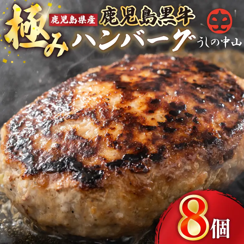 1104 鹿児島県産『 鹿児島黒牛 』極めた ハンバーグ 8個 KN050-001-03 肉 牛肉 黒毛和牛 惣菜 総菜