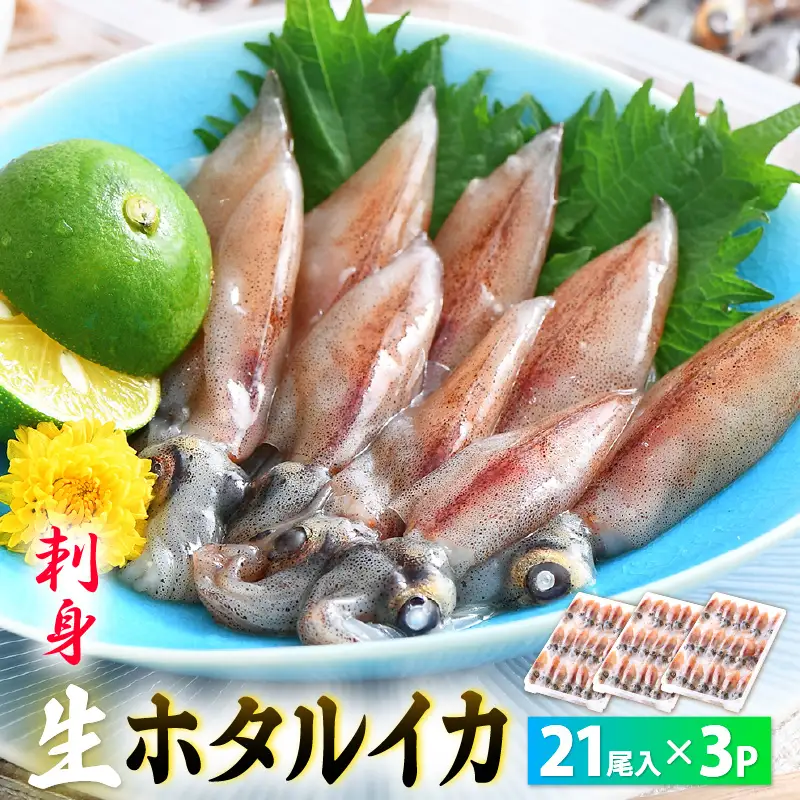 【TVで紹介！】 急速冷凍 生 ホタルイカ 21尾入 × 3 計約420g（刺身・しゃぶしゃぶ用） ほたるいか  [e15-a014]