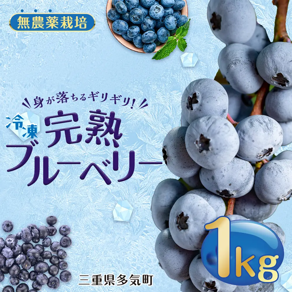 無農薬栽 冷凍完熟ブルーベリー1kg 果物 くだもの フルーツ 完熟 冷凍 ブルーベリー ジャム ピューレー スムージー シロップ 国産 農薬無使用 おいしい ビタミン 食物繊維 ミネラル 三重県 多気町 FR-01