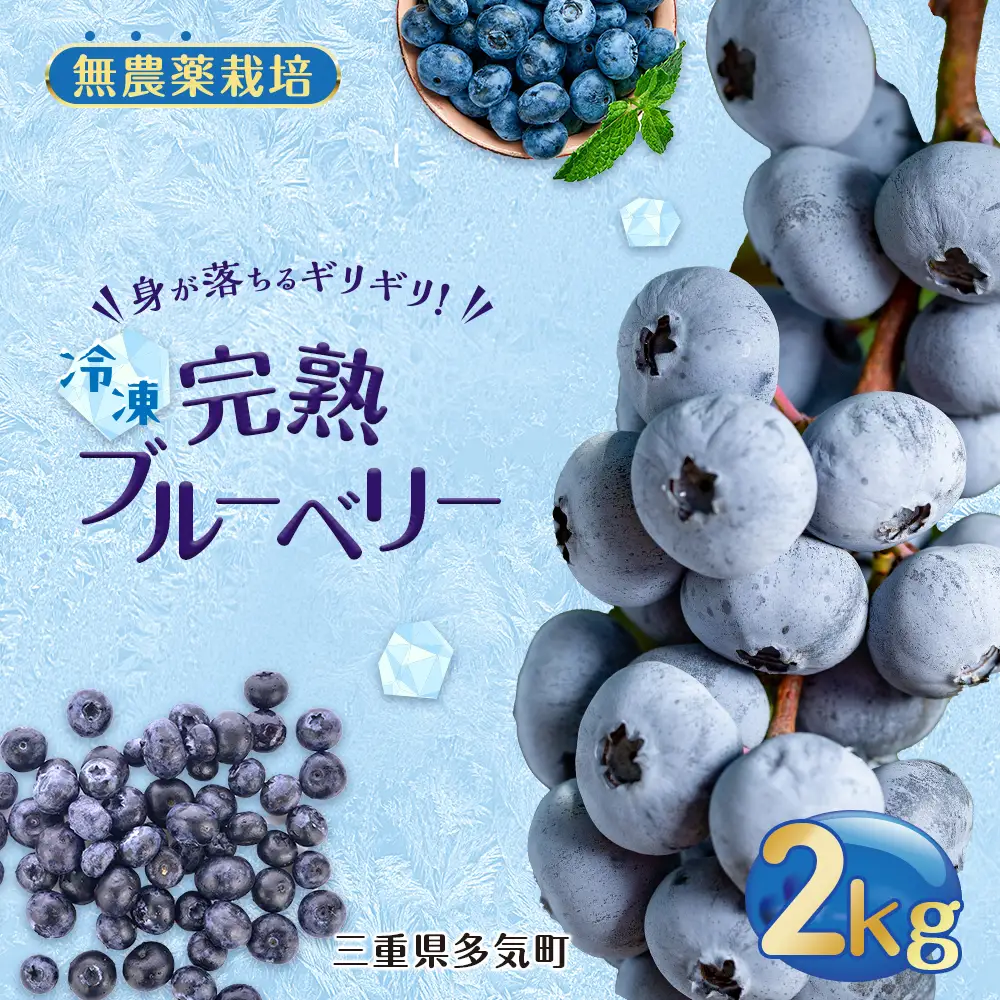 無農薬栽培 冷凍完熟ブルーベリー2kg 果物 くだもの フルーツ 完熟 冷凍 ブルーベリー ジャム ピューレー スムージー シロップ 国産 農薬無使用 おいしい ビタミン 食物繊維 ミネラル 三重県 多気町 FR-02