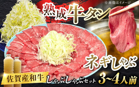 佐賀産和牛 牛タンしゃぶしゃぶセット 500g 牛たん たん[FCJ058]