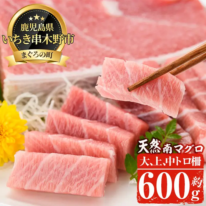 南まぐろの大トロ・中トロセット 南まぐろ刺身用大トロ、上トロ、中トロ各1本（約600g） 希少な天然南まぐろをご家庭で！【00-019-03】