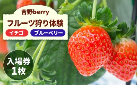吉野ベリー入場券(1枚) 吉野ヶ里町/吉野麦米 イチゴ狩り ブルーベリー狩り[FCR001]