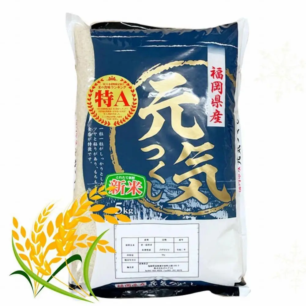 【令和7年産】福岡県産ブランド米「元気つくし」白米 5kg