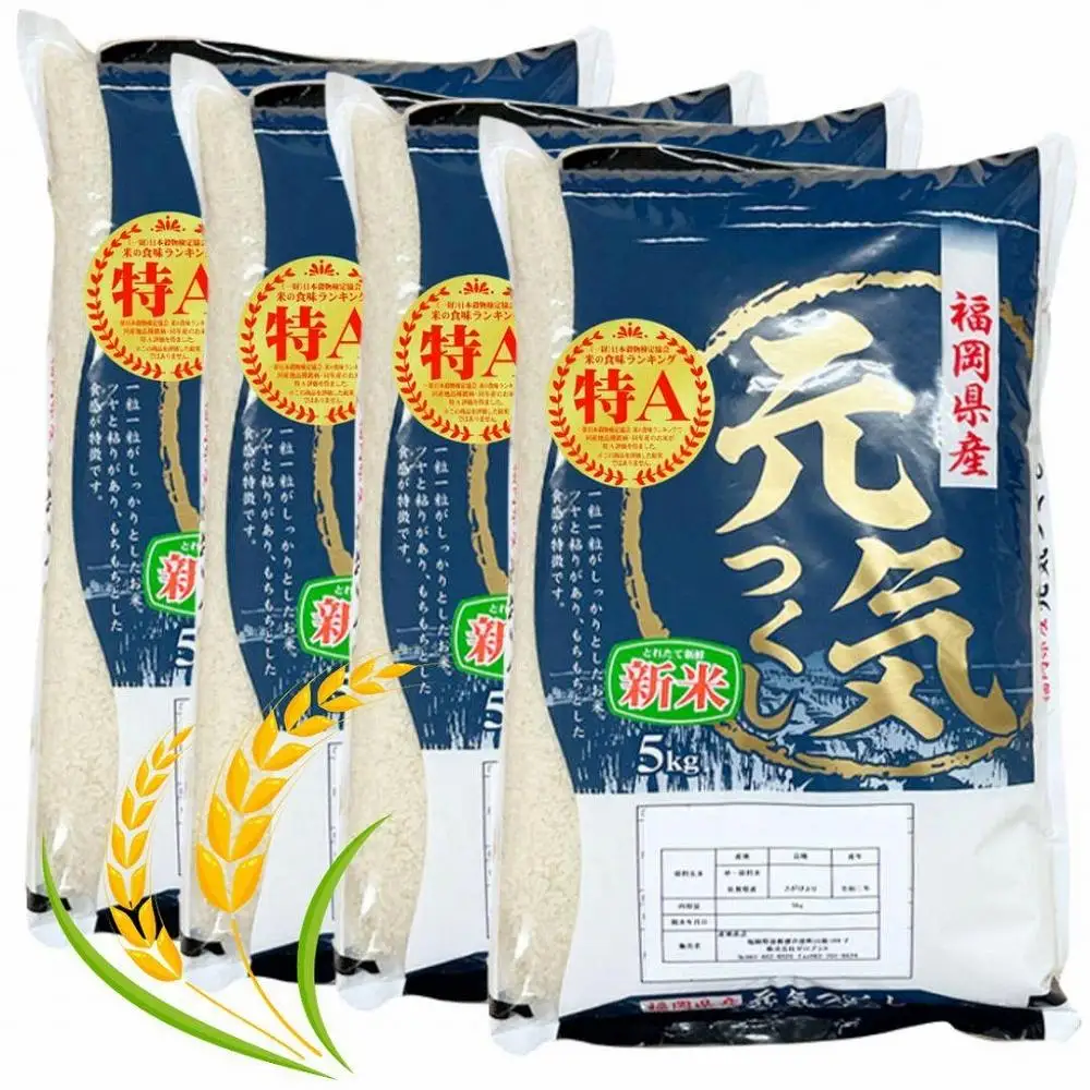 【令和7年産】福岡県産ブランド米「元気つくし」白米 20kg