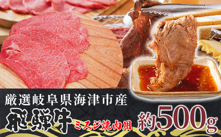 【数量限定】【飛騨牛】海津市産ミスジ焼肉オリジナルカット 【配達不可：離島】 お肉 牛肉 焼肉用 バーベキュー 国産 ブランド牛 岐阜県産 希少部位 柔らかい サシ 霜降り 口どけが良い 脂 バランス おうち焼肉 