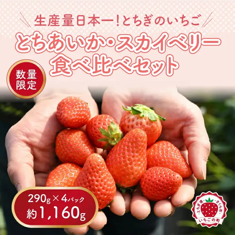 いちご とちあいか・スカイベリー食べ比べセット（290g×4パック）※2027年1月～発送