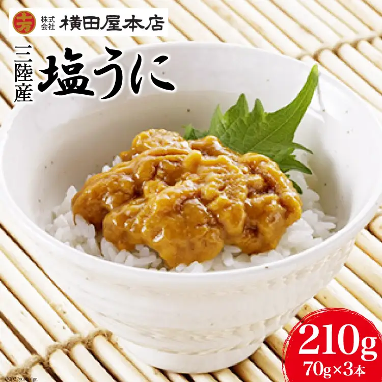 うに 三陸産 塩うに 70g×3本 [横田屋本店 宮城県 気仙沼市 20565815]