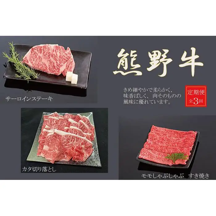 【定期便全3回】熊野牛 極上定期便セットB（1カ月に1回お届け）（全3ヵ月）［MG48］