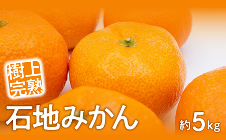 樹上完熟「石地みかん」約5kg