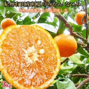 初夏のみかん なつみ3kg